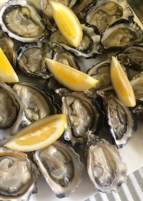 Montague Oysters |  | 8 Murphy Pl, Narooma NSW 2546, Australia | 0498478162 OR +61 498 478 162