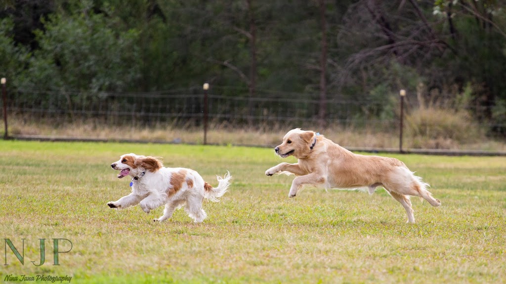 Bungarribee Dog Park | park | Doonside Rd, Doonside NSW 2767, Australia