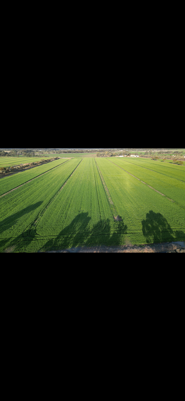 Notting Agri & Contracting | Murray Valley Hwy, Tyntynder VIC 3586, Australia | Phone: 0418 485 438