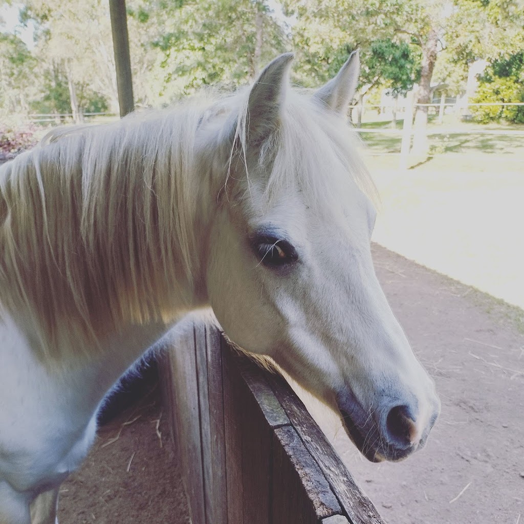 Horsing Around Riding Centre | 4A Jirrima Cres, Cooroibah QLD 4565, Australia | Phone: 0417 074 486