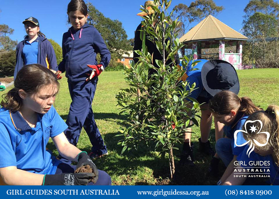 Girl Guides SA Millicent | Scout Hall, 4 Stark Ave, Millicent SA 5280, Australia | Phone: (08) 8418 0900