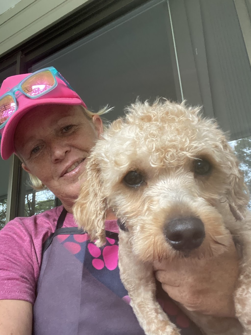 Camden Haven Dog Grooming | 23 Caringal Dr, Middle Brother NSW 2443, Australia | Phone: 0455 133 501