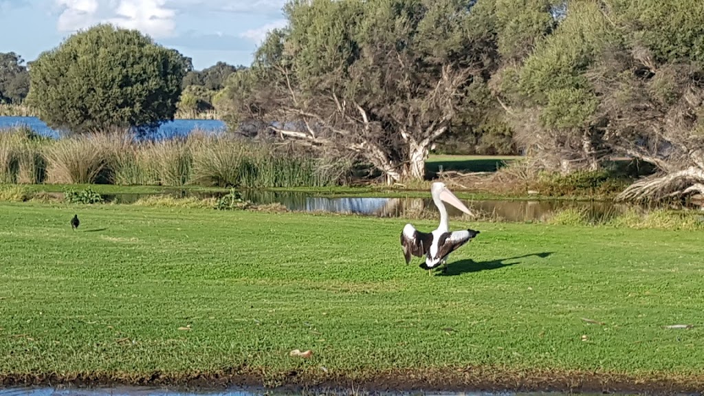 Herdsman Lake Nature Reserve | park | 171 Jon Sanders Dr, Herdsman WA 6017, Australia