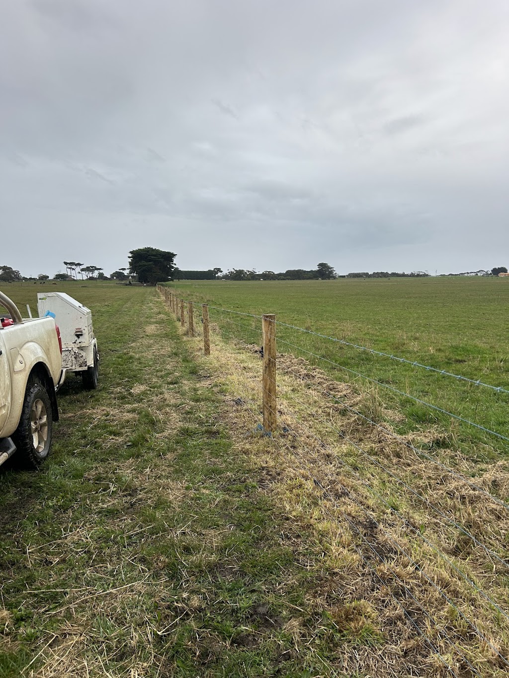Niftys rural fencing | 8 Austin St, Hawkesdale VIC 3287, Australia | Phone: 0437 438 808
