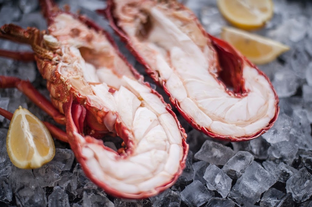 Lobster Shack Tasmania | meal takeaway | 40 Esplanade, Bicheno TAS 7215, Australia | 0363751588 OR +61 3 6375 1588