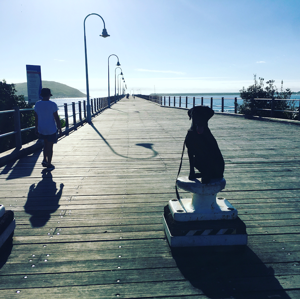 Canine Revolution Dog Training Coffs Harbour | 36 Upper Orara Rd, Karangi NSW 2450, Australia | Phone: 0414 251 177