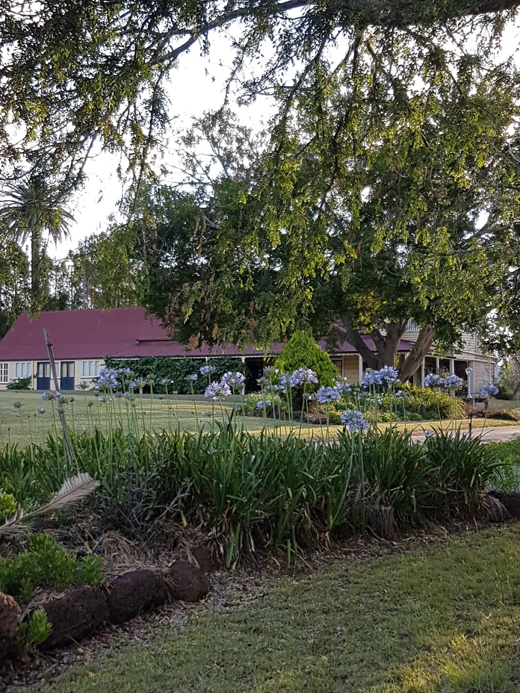 Taabinga Homestead | 7 Old Taabinga Rd, Haly Creek QLD 4610, Australia | Phone: (07) 4164 5531