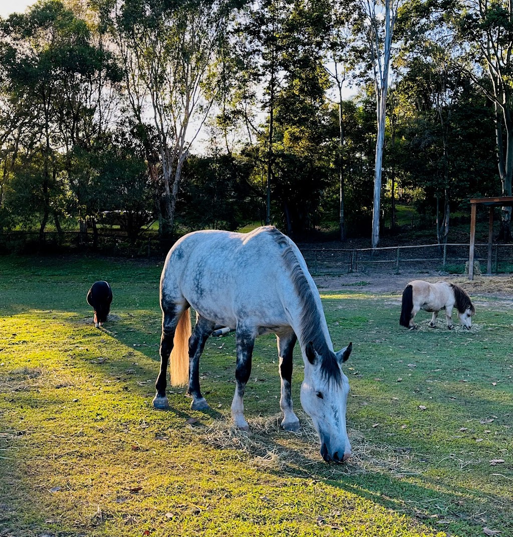 Trusting Connections Counselling | 1 Idolou Ct, Mudgeeraba QLD 4213, Australia | Phone: 0411 445 038