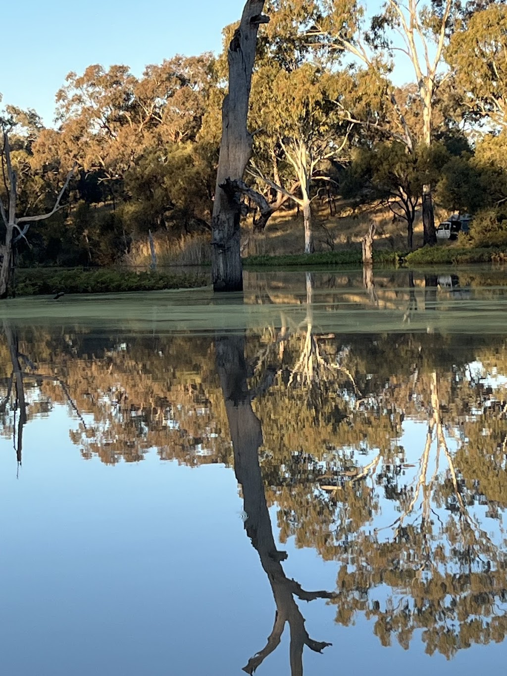 Sandytown River Cruises (SRC) | Boat ramp, 152-154 St Georges Terrace, St George QLD 4487, Australia | Phone: 0400 219 379
