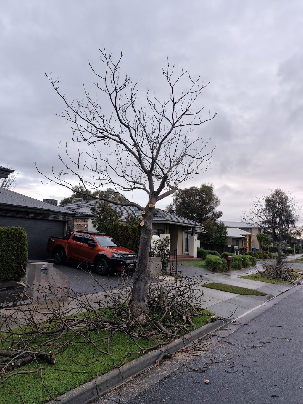 Active Tree Services Pty Ltd | 7/53 Jersey Rd, Bayswater VIC 3153, Australia | Phone: (03) 8873 3100