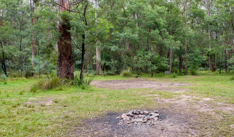Blue Gum Flat campground | campground | Blue Gum Flat Road, Yadboro NSW 2539, Australia | 0248877270 OR +61 2 4887 7270