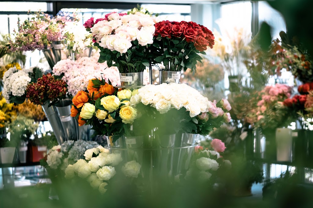 Swann Agencies | florist | 2/54 Turbo Dr, Coorparoo QLD 4151, Australia | 0733924011 OR +61 7 3392 4011