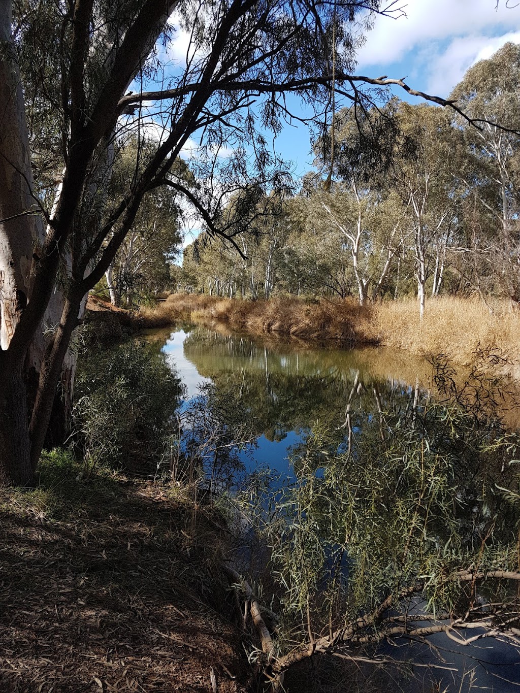 White Cliffs Reserve | park | Koolunga SA 5464, Australia