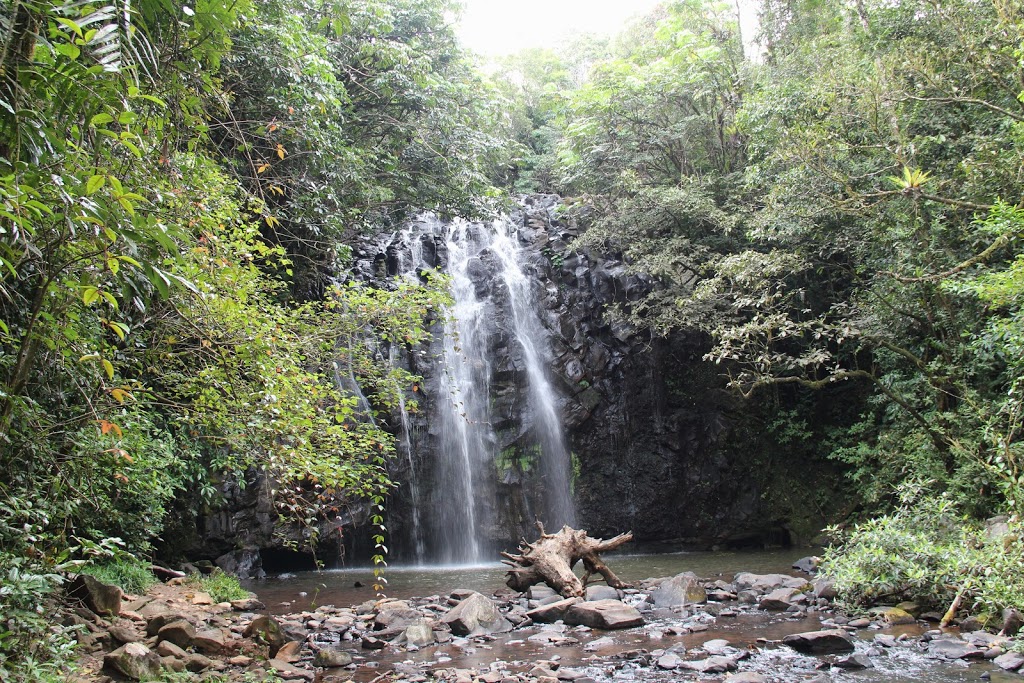 Zillie Falls, Qld | Wooroonooran QLD 4886, Australia | Phone: (07) 4091 4222