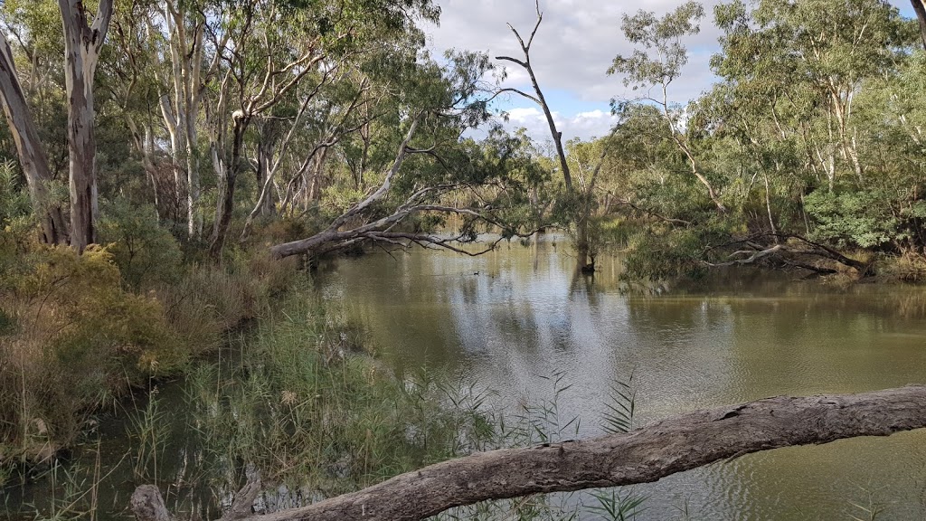 Major creek reserve camp spot | Major Creek, Mitchellstown VIC 3608, Australia