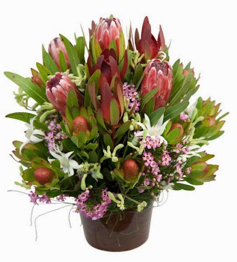 Olivieri’s Florist | 170 Pacific Hwy, Doyalson North NSW 2262, Australia | Phone: (02) 4358 8331