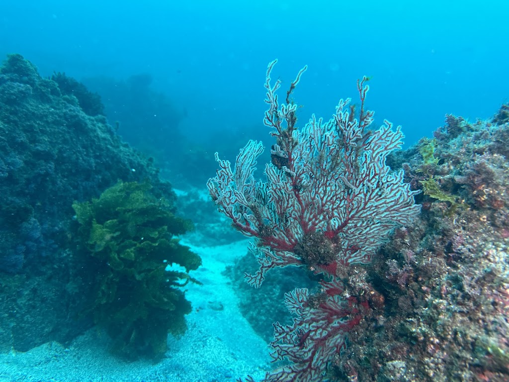 Beneath The Bay | Hanging Rock Boat Ramp, Batemans Bay NSW 2536, Australia | Phone: 0405 838 957