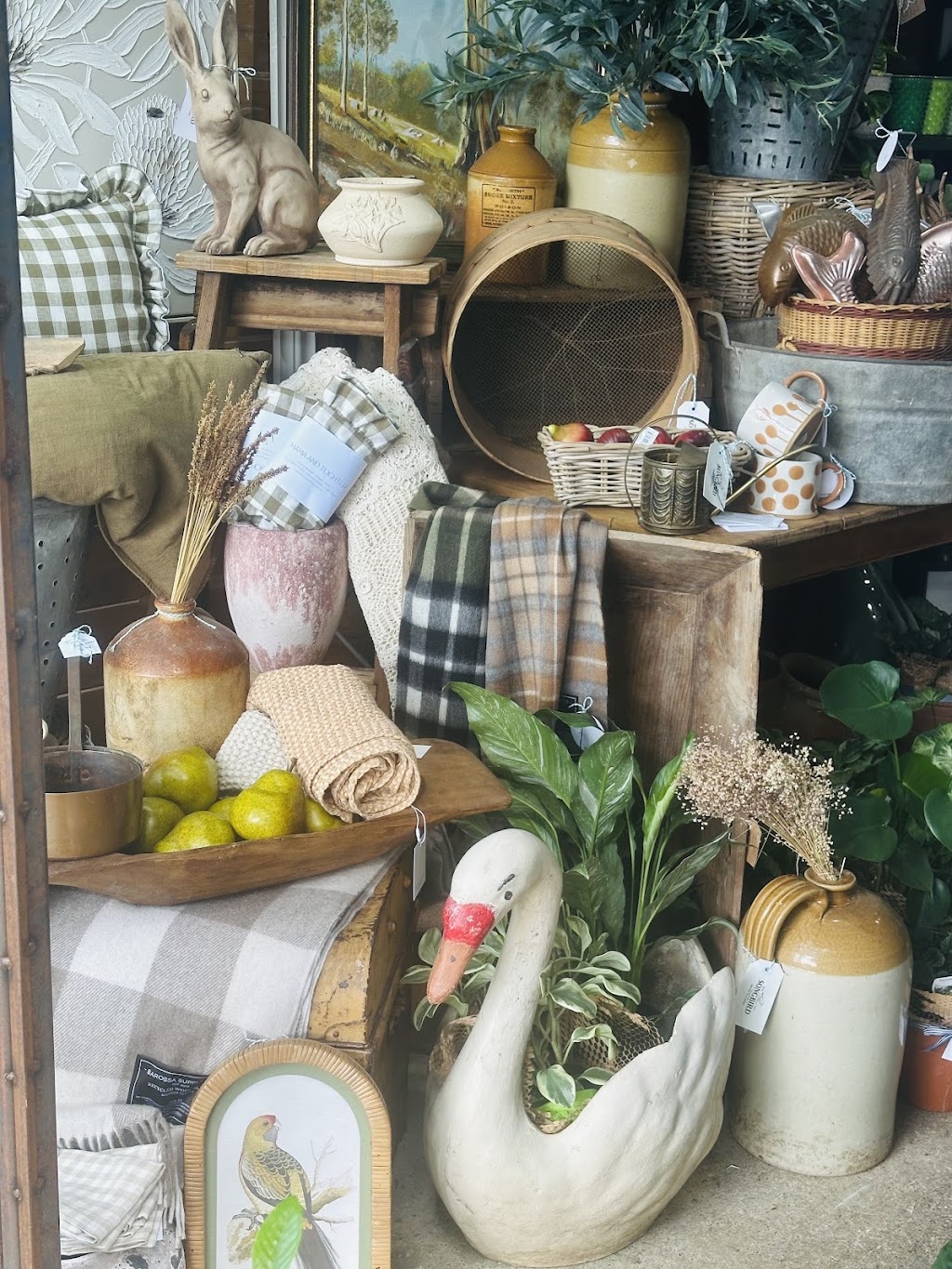 Songbird Trader | 2 High St, Yackandandah VIC 3749, Australia | Phone: 0438 608 551