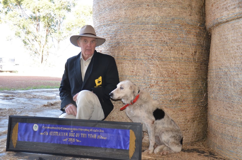 Dog Training WA |  | 453 Brockman Rd N, Hamel WA 6215, Australia | 0427380022 OR +61 427 380 022