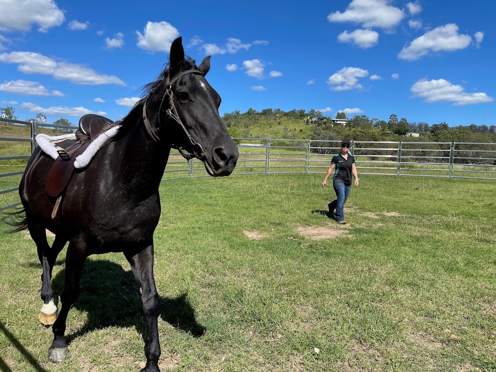 Giddy Up Farm | 2 Nelson Ln, Laidley Creek West QLD 4341, Australia | Phone: 0419 679 465