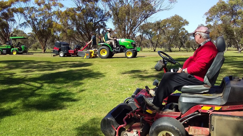 Balaklava Golf Club | 54 Golf Course Rd, Port Wakefield-Auburn Road, Balaklava SA 5461, Australia | Phone: (08) 8862 1594