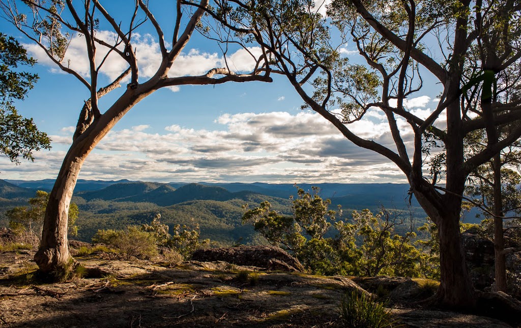 Coolendel Lookout | Coolendel Lookout Trail, Budgong NSW 2577, Australia