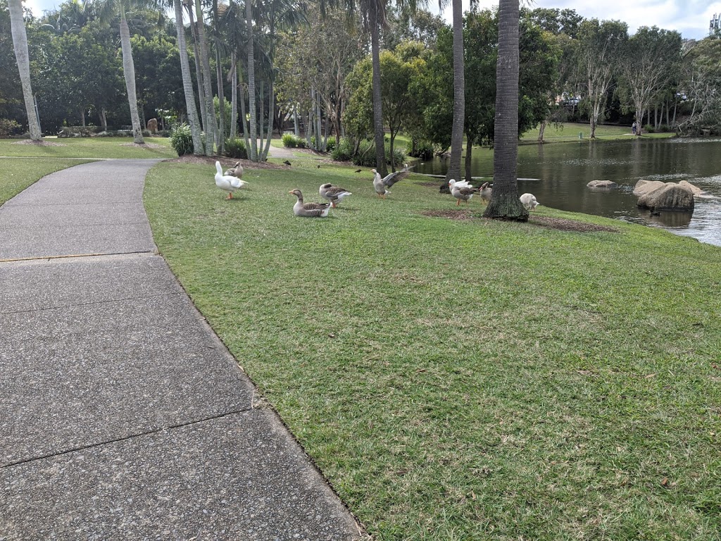 Centenary Lakes Park | Fitscool, Caboolture QLD 4510, Australia