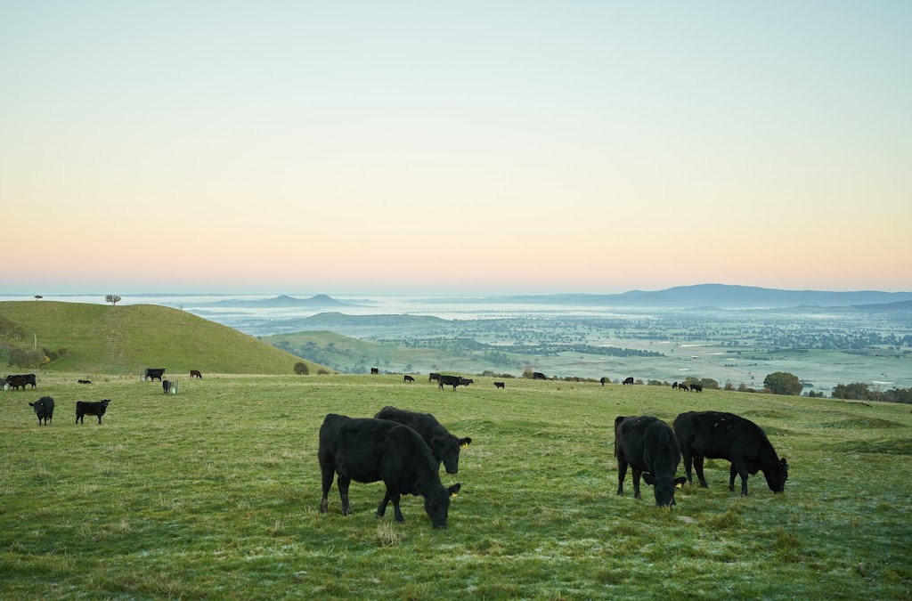 Beolite Luxury Farmstay Mansfield | 665 Glenroy Rd, Mansfield VIC 3722, Australia | Phone: 0433 440 646