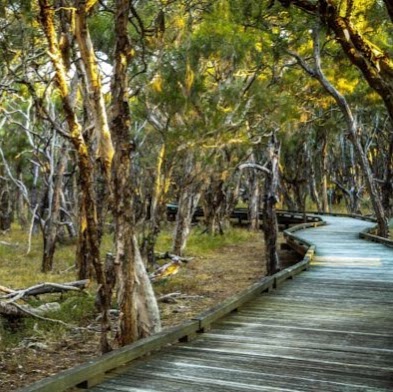 Purga Nature Reserve | park | 840 Middle Rd, Purga QLD 4306, Australia | 0738106666 OR +61 7 3810 6666