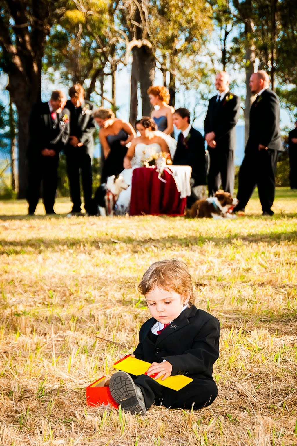 Portpix Photography | 2 Girraween Rd, Port Macquarie NSW 2444, Australia | Phone: 0412 359 966
