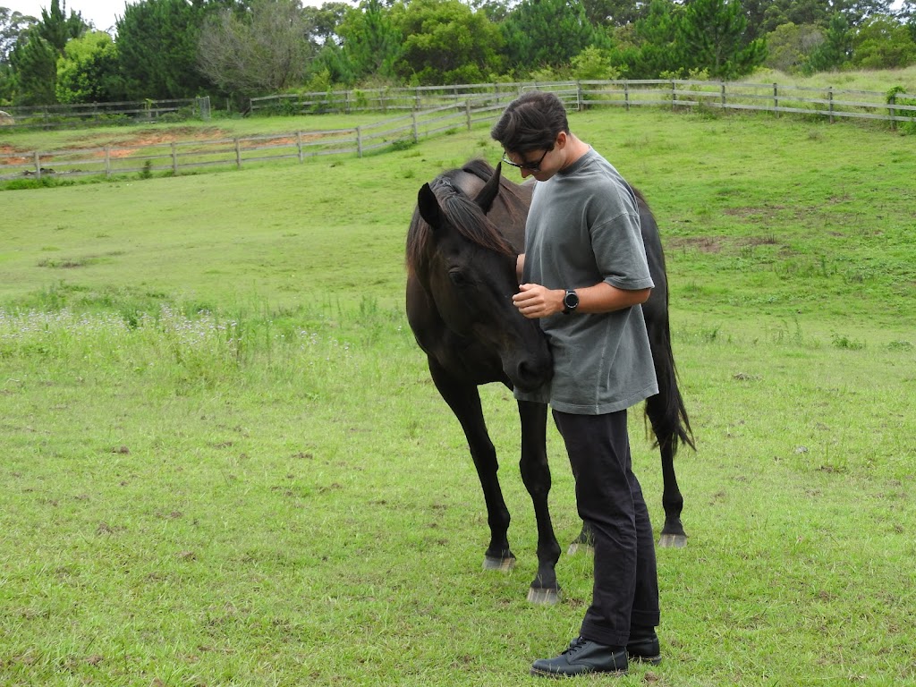 Solace Equine Assisted Therapy | health | 75 McDougall Rd, Elimbah QLD 4516, Australia | 0403863566 OR +61 403 863 566
