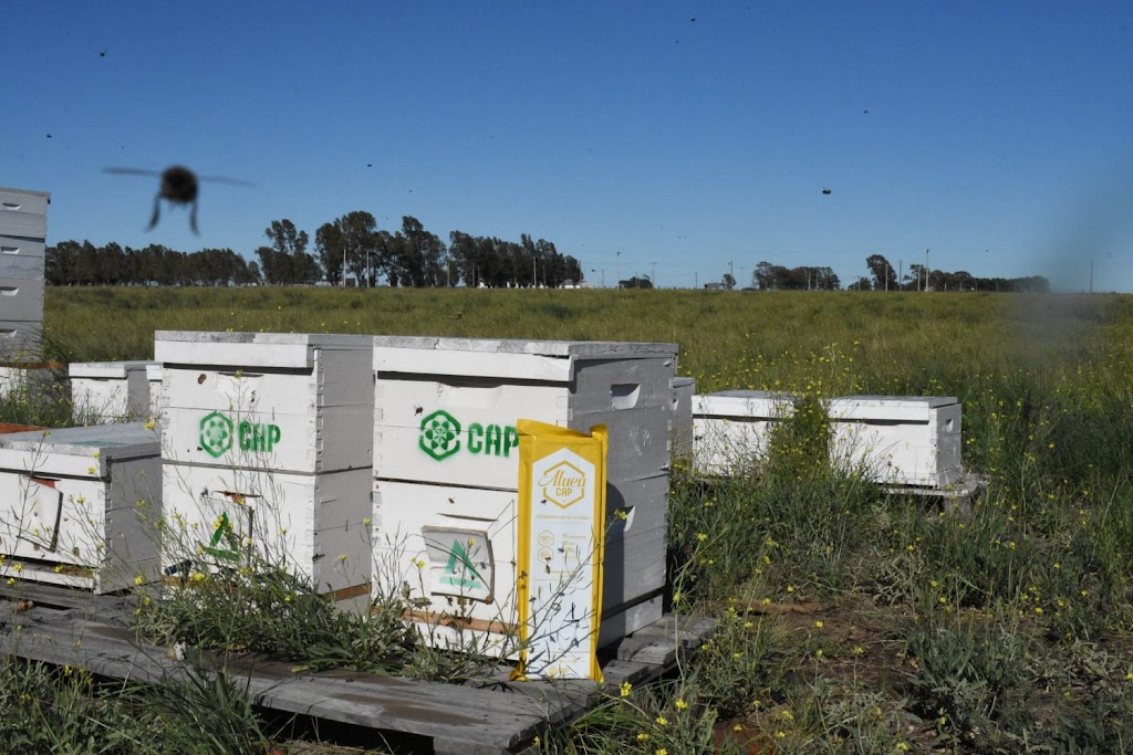 Aluen CAP Australia | 18B Industrial Ave, Mudgee NSW 2850, Australia | Phone: 1800 921 520