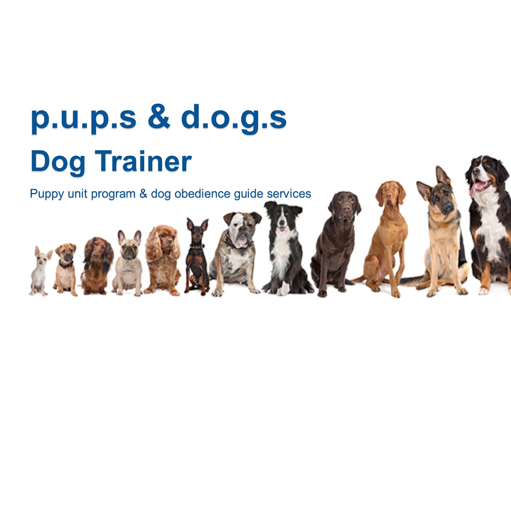 Pups & Dogs Trainer | Camelot Ct, Carlingford NSW 2118, Australia | Phone: 0404 878 940