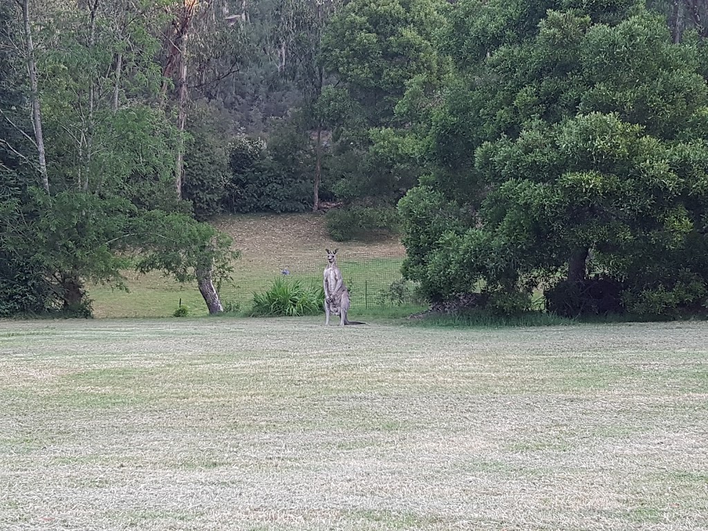 allenvale cottages | 150 Allenvale Rd, Lorne VIC 3232, Australia | Phone: 0456 891 450