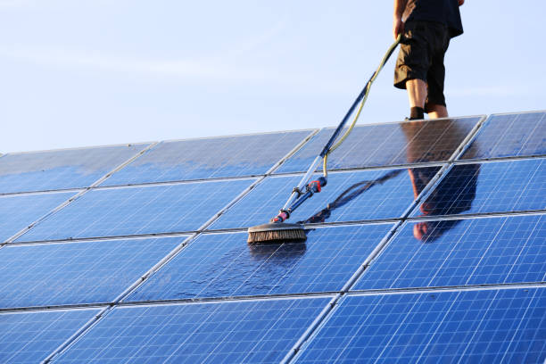 Grafton Solar Panel Cleaning Service |  | 304 Back Ln, Junction Hill NSW 2460, Australia | 0428446194 OR +61 428 446 194