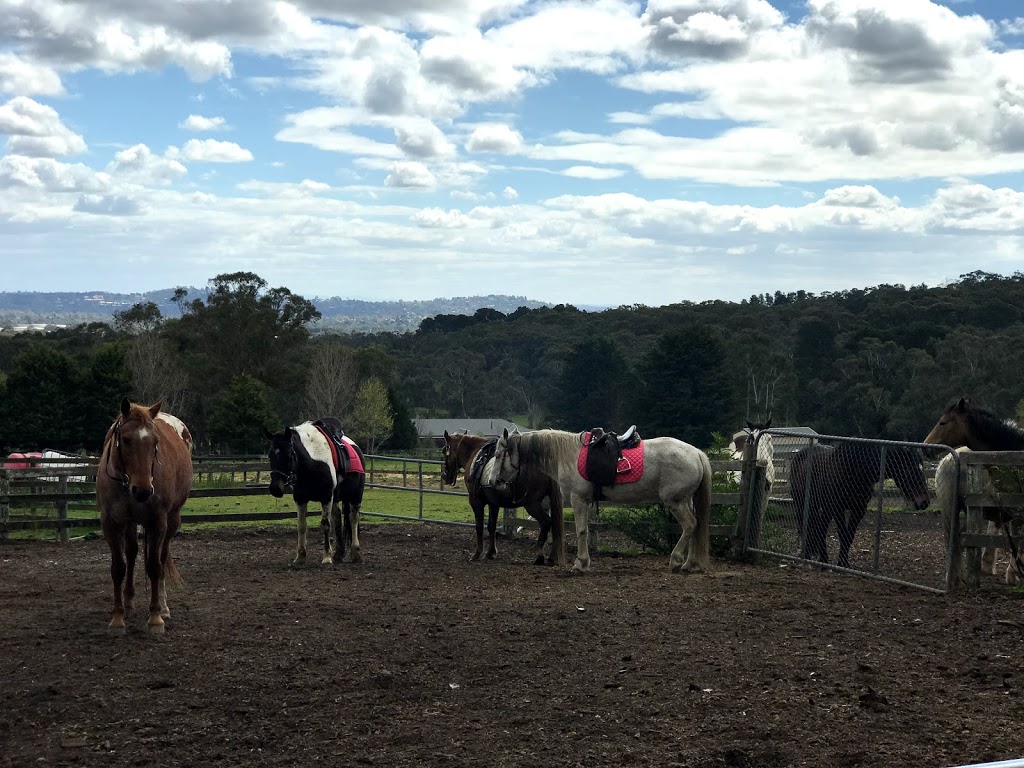 Dandenong Ranges Horse Trail Rides | 205 Sheffield Rd, Melbourne VIC 3137, Australia | Phone: (03) 9728 3502