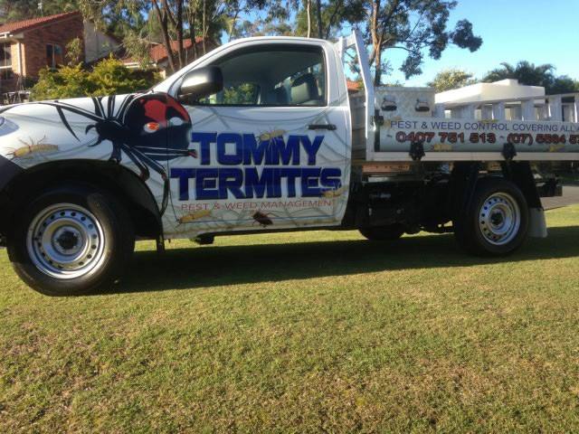 Tommy Termites Pest & Weed Management | home goods store | 4 Sexton Ct, Molendinar QLD 4214, Australia | 0407751513 OR +61 407 751 513