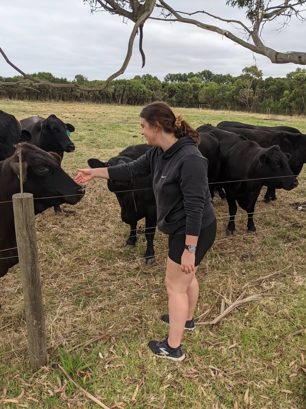 Honeys Petting Farm | zoo | 33 Honeys Rd, Wonthaggi VIC 3995, Australia | 0492444382 OR +61 492 444 382