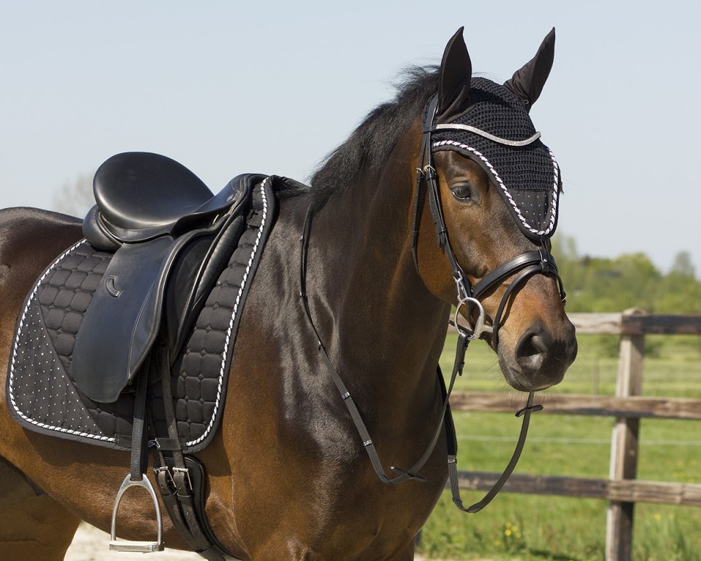 EveryDay Equestrian | store | 37 Ray Orr Dr, Mount Barker SA 5251, Australia | 0451582223 OR +61 451 582 223
