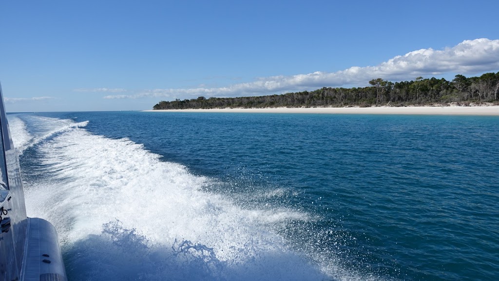 Pacific Whale Foundation Australia | Great Sandy Straits Marina Urangan Hervey Bay, Shop 4 Buccaneer Dr, Urangan QLD 4655, Australia | Phone: 1800 454 310