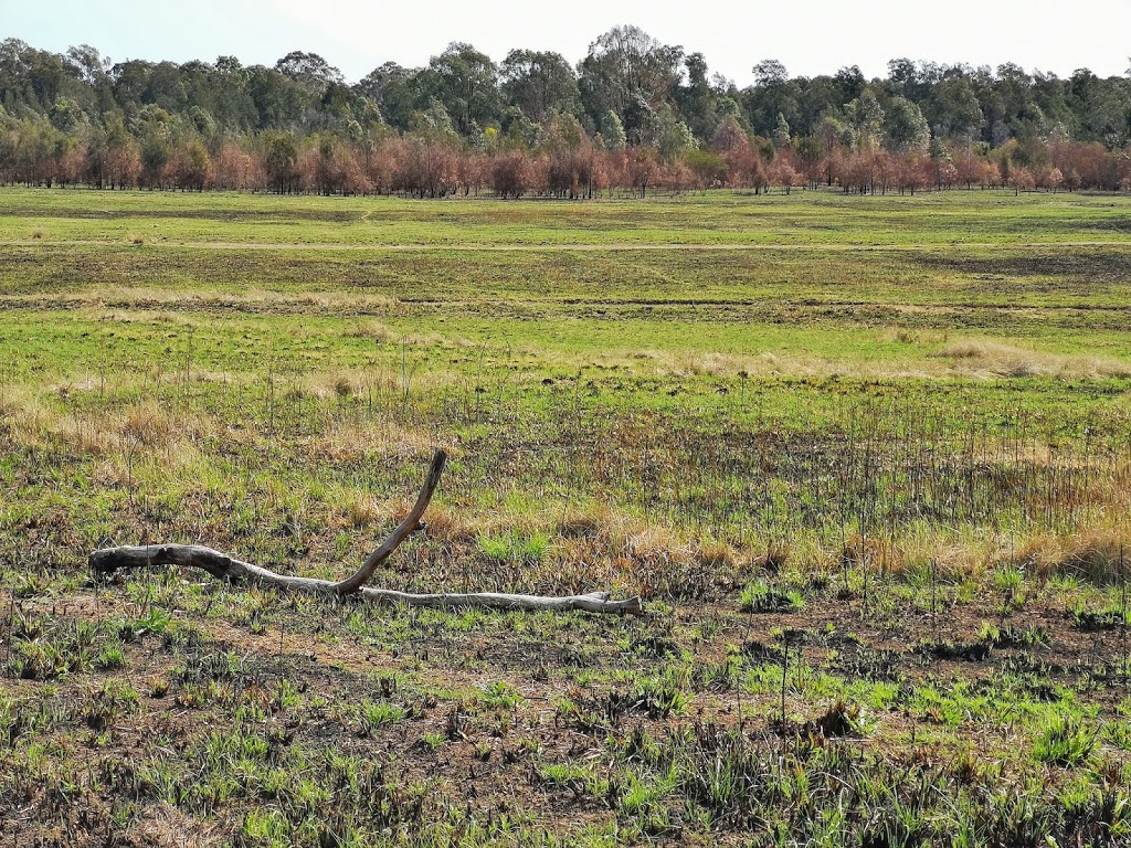 Eastern Creek Rural Fire Brigade | 204 Rooty Hill Rd S, Eastern Creek NSW 2766, Australia | Phone: (02) 9832 4433