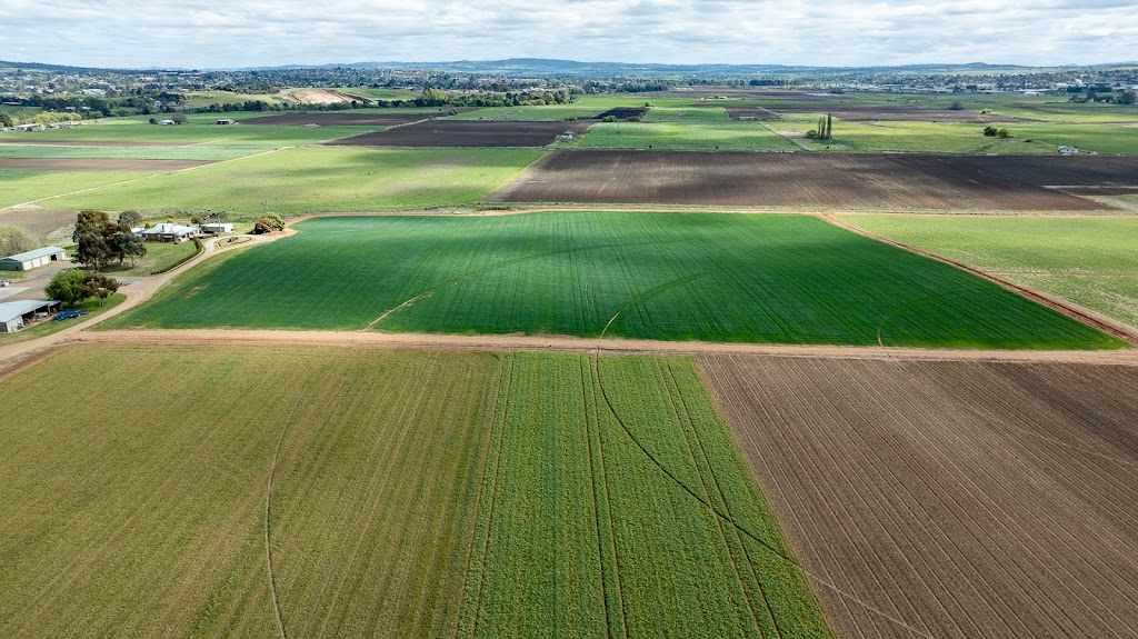 Switch Ag | 71 Glenlogan Rd, Cowra NSW 2794, Australia | Phone: 0411 156 839