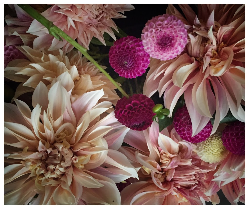 Fleurs de Lyonville | 35 Leishmans Ln, Lyonville VIC 3461, Australia | Phone: 0416 970 543