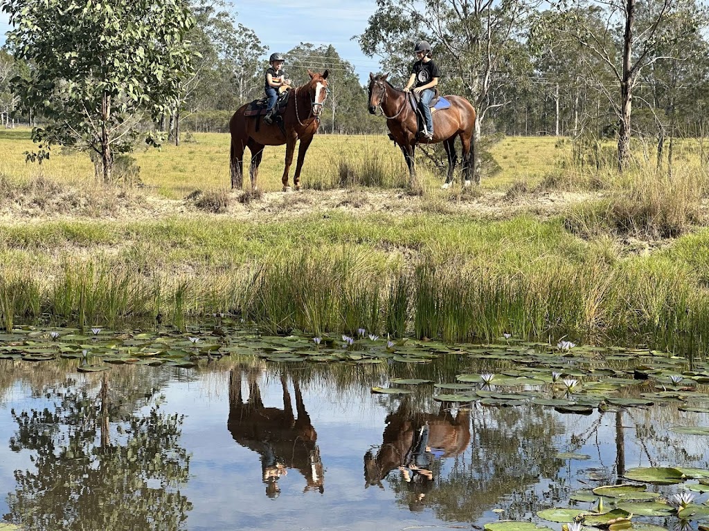 Hearts and Hooves Equestrian Centre | 77 Kangaroo Creek Rd, Coutts Crossing NSW 2460, Australia | Phone: 0415 617 792