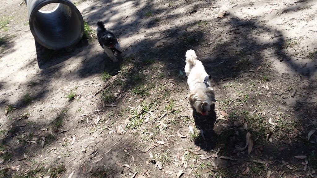 Medowie Off-Lead Dog Exercise Area | park | 36 Coachwood Dr, Medowie NSW 2318, Australia