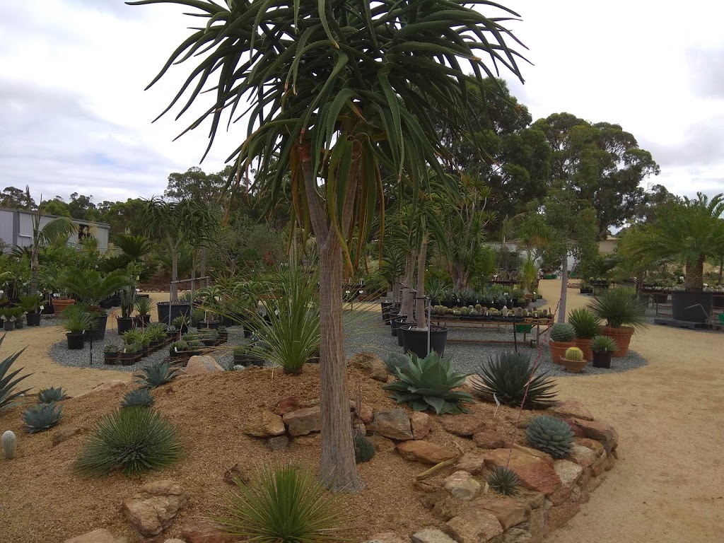 Karnup Nursery - Arid & Exotic Plants | store | 77 Fletcher Rd, Karnup WA 6176, Australia | 0408916780 OR +61 408 916 780