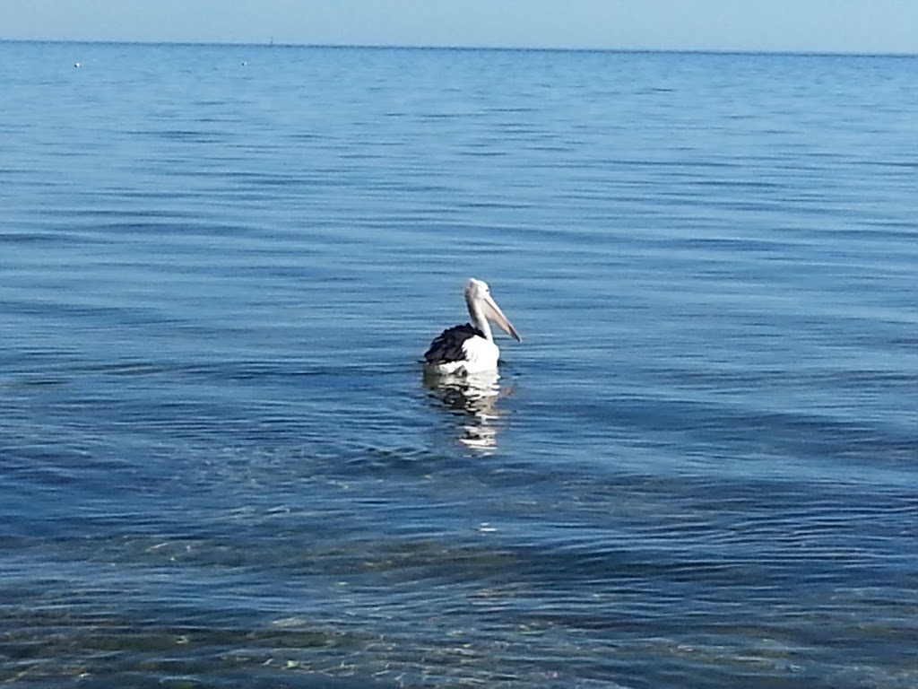 Sittin On The Beach Accommodation Yorke Peninsula | 63 Sultana Point Rd, Sultana Point SA 5583, Australia | Phone: 0416 242 754