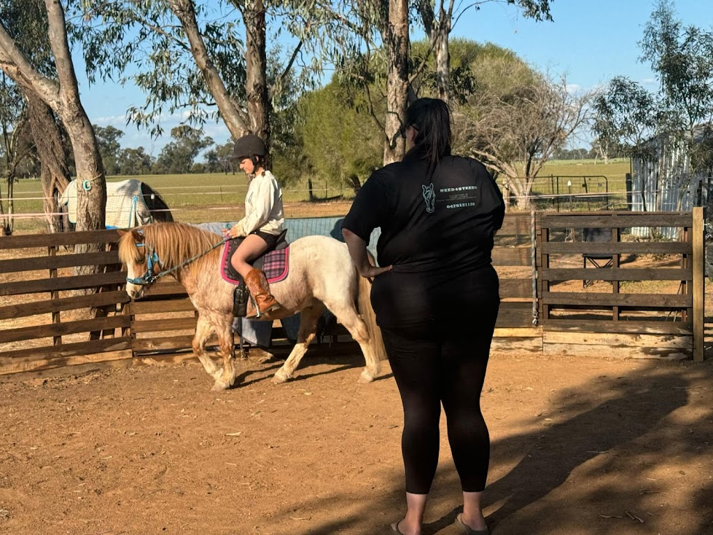 Need4Steeds | Benalla-Tocumwal Rd, Katamatite VIC 3649, Australia | Phone: 0494 102 419