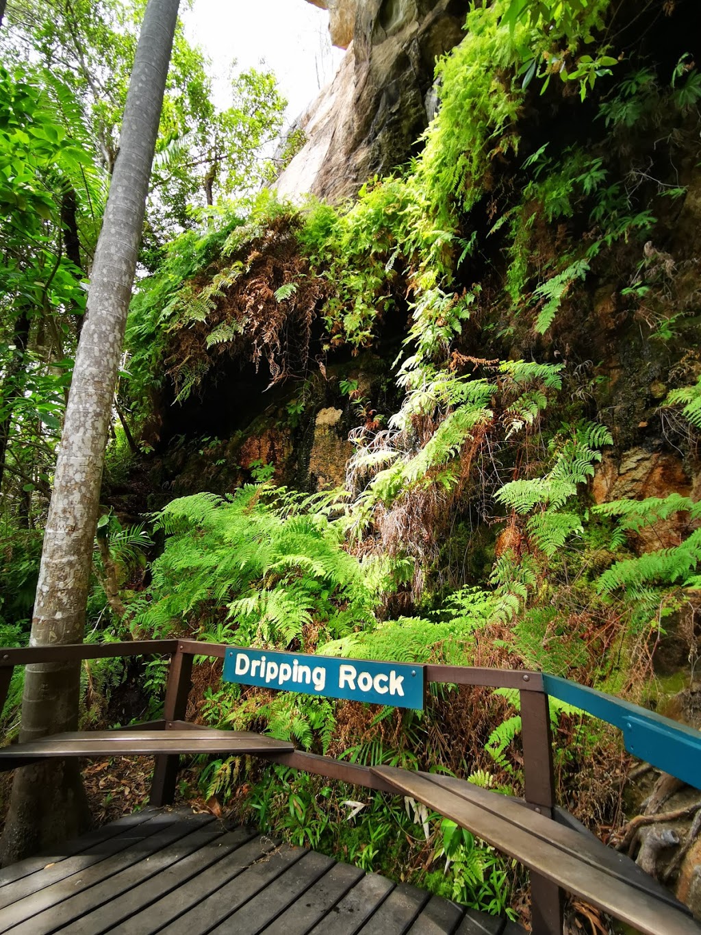 Cania Gorge National Park Picnic Area | park | Cania Rd, Moonford QLD 4630, Australia