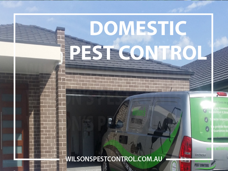 ✅Wilsons Pest Control Sydney | home goods store | 252 Bungarribee Rd, Blacktown NSW 2148, Australia | 0451590398 OR +61 451 590 398